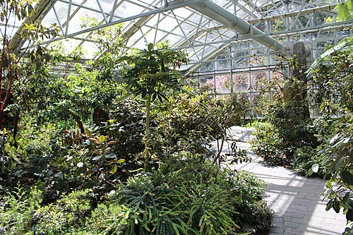 Rutherford Conservatory (Rhododendron Species Botanical Garden), Federal Way, Washington