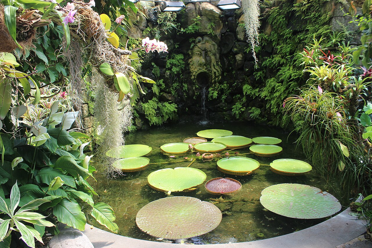 Victoria House und Orchideenhaus, Giardini La Mortella, Forio, Ischia (Neapel), Kampanien