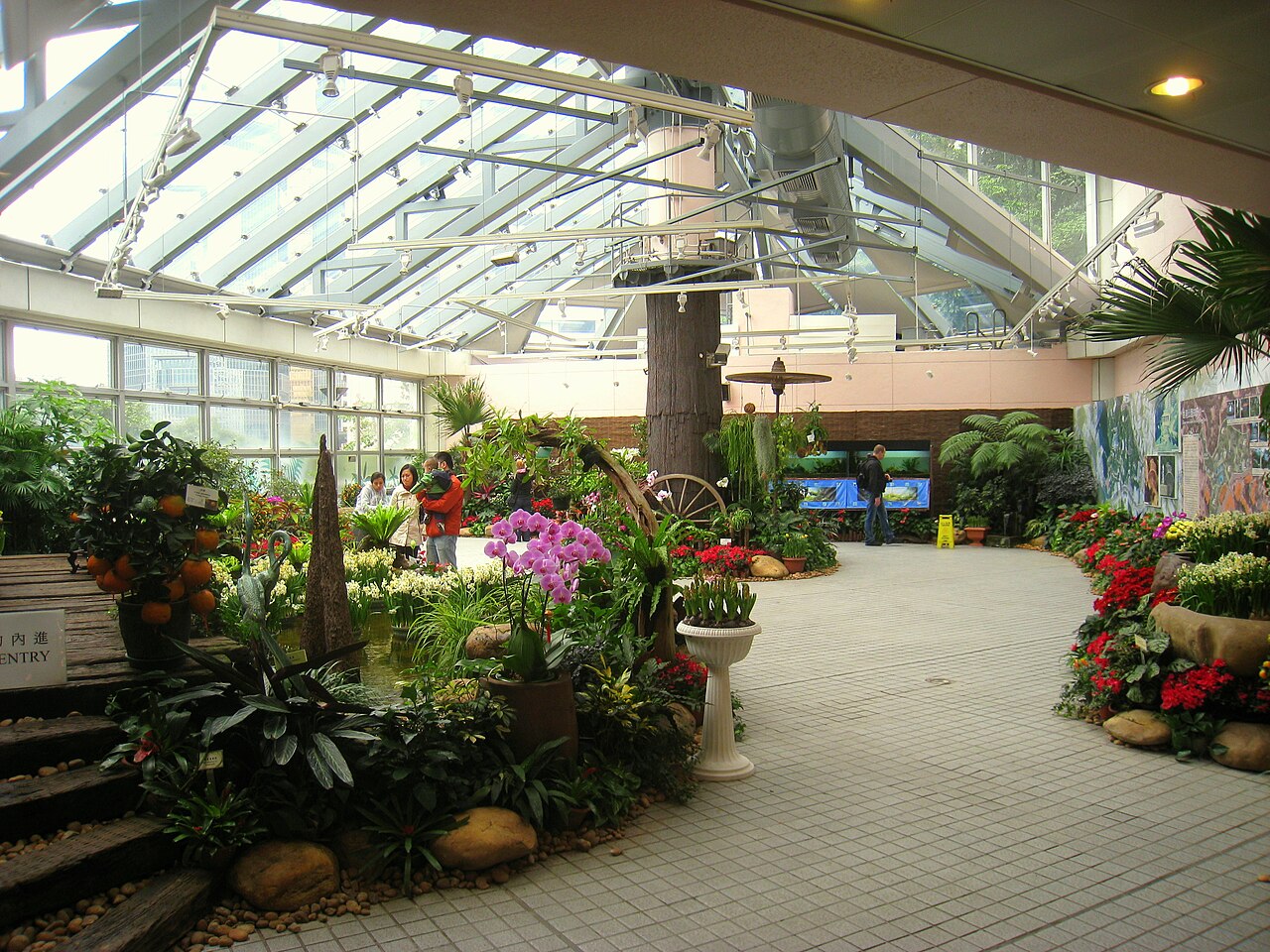 Forsgate Conservatory, Hongkong