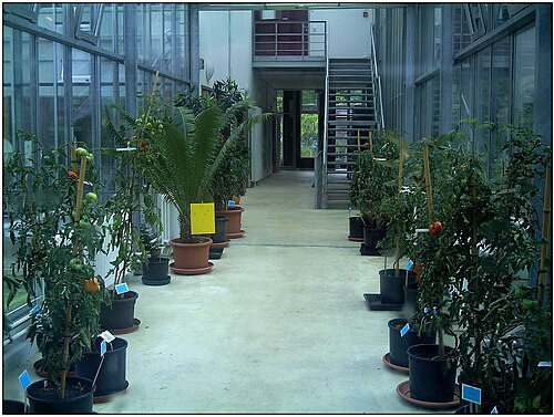 Show Glasshouses of the Freiburg Botanical Garden (Schaugewächshäuser, Botanischer Garten Freiburg), Freiburg im Breisgau, Baden-Württemberg