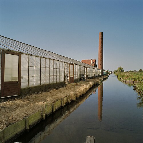 Gewächshäuser der Historische Tuin Aalsmeer (historischer Garten des Gartenbaus), Aalsmeer, Nordholland — Historische tuin: Overzicht kassen met schoorsteenpijp op de achtergrond