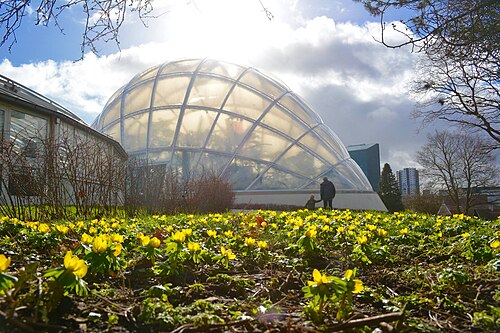 Væksthusene, Gewächshäuser des Botanischen Gartens Aarhus (Tropenhaus), Aarhus, Mitteljütland — Væksthusene i Botanisk Have, Science Museerne, Aarhus Universitet