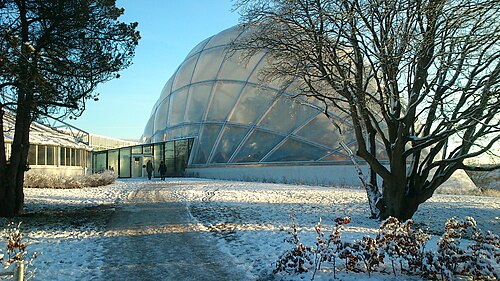 Væksthusene, Gewächshäuser des Botanischen Gartens Aarhus (Tropenhaus), Aarhus, Mitteljütland — Winter scene from the greenhouses.