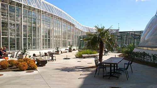 Væksthusene, Gewächshäuser des Botanischen Gartens Aarhus (Tropenhaus), Aarhus, Mitteljütland — Væksthusene i Botanisk Have. Fra atriet. Den buede facade-sektion til venstre er fra det…