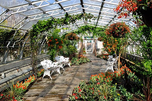 David Welch Winter Gardens (Duthie Park), Aberdeen, Schottland — In the Winter Gardens, Duthie Park