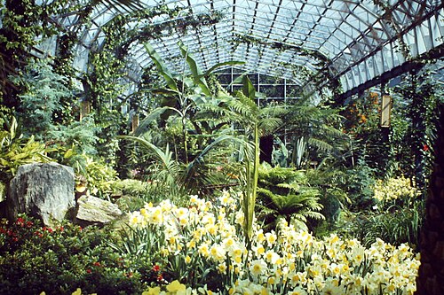 David Welch Winter Gardens (Duthie Park), Aberdeen, Schottland — Spring in the Winter Gardens