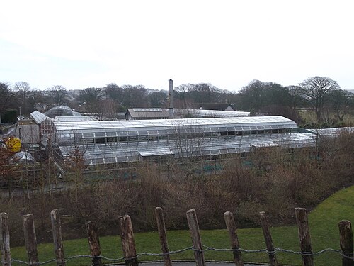 David Welch Winter Gardens (Duthie Park), Aberdeen, Schottland — Duthie Park Winter Gardens, Aberdeen
