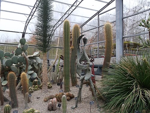 David Welch Winter Gardens (Duthie Park), Aberdeen, Schottland — David Welch Winter Gardens — Ansicht 4