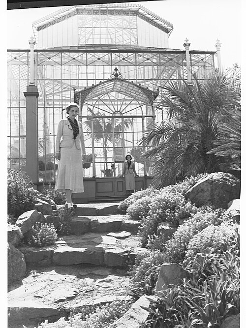 Palm House, Adelaide Botanic Garden, Adelaide — All the photographs by Capt Hurley were taken in 1935 for the 1936 Centenary Year. Note…