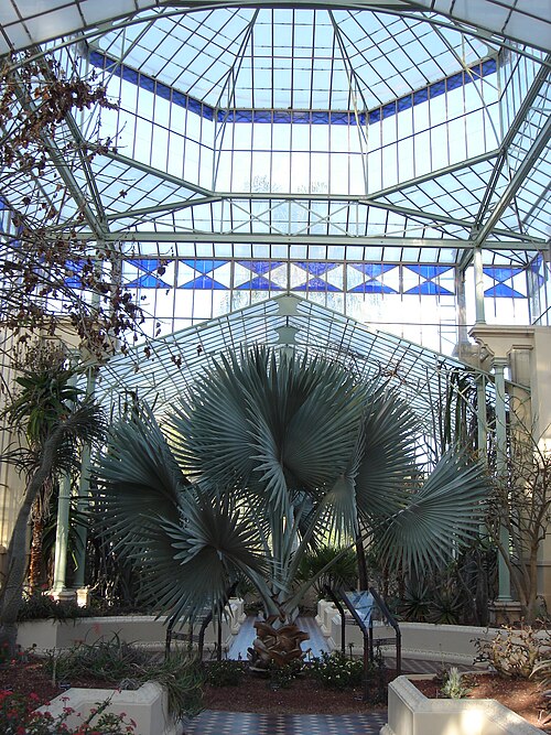 Palm House, Adelaide Botanic Garden, Adelaide — Palm House in the Adelaide Botanical Gardens