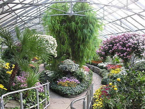 Allan Gardens Conservatory (Palm House), Toronto, Ontario — Fall Show at Allan Gardens 2009
