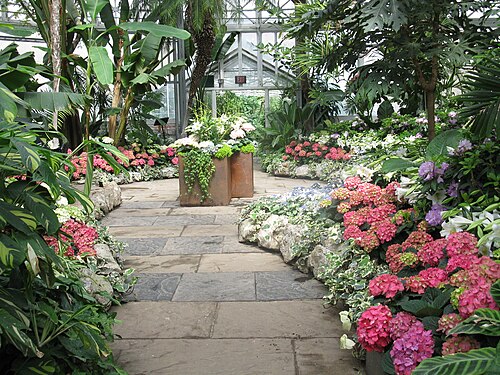 Allan Gardens Conservatory (Palm House), Toronto, Ontario — Spring Show at Allan Gardens