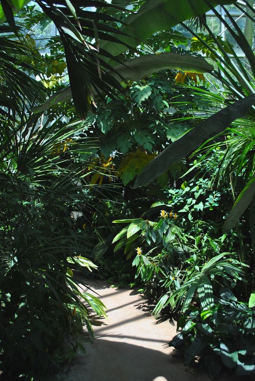 Mary E. Bivins Tropical Conservatory (Amarillo Botanical Gardens), Amarillo, Texas — photo 1