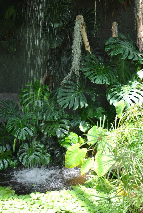 Mary E. Bivins Tropical Conservatory (Amarillo Botanical Gardens), Amarillo, Texas — photo 2