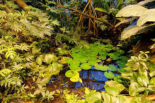 Amazonienhaus der Wilhelma, Stuttgart — Amazonienhaus der Wilhelma — Ansicht 3