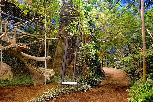 Amazonienhaus der Wilhelma, Stuttgart — Amazonienhaus der Wilhelma — Ansicht 4