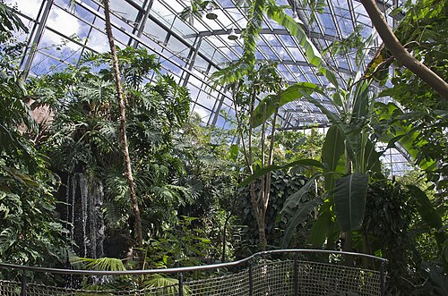 Amazonienhaus der Wilhelma, Stuttgart — Amazonienhaus, Wilhelma Stuttgart