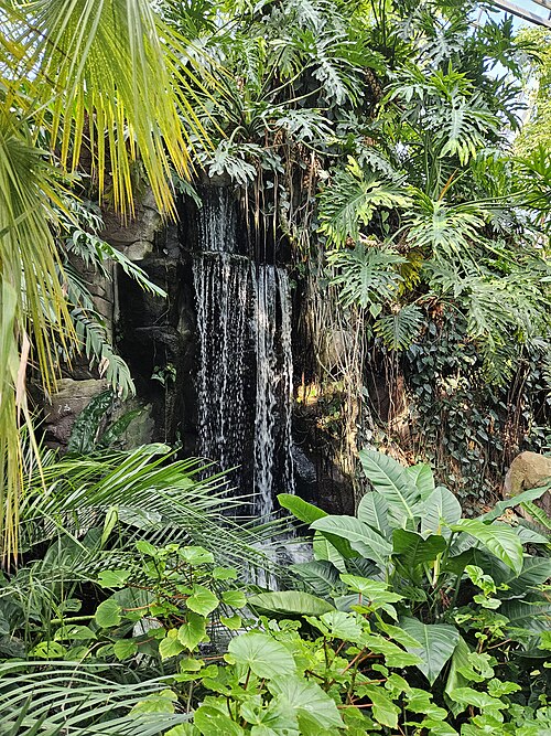 Amazonienhaus der Wilhelma, Stuttgart — Wasserfall in Amazonienhaus der Wilhelma (Gewächshaus in Stuttgart)