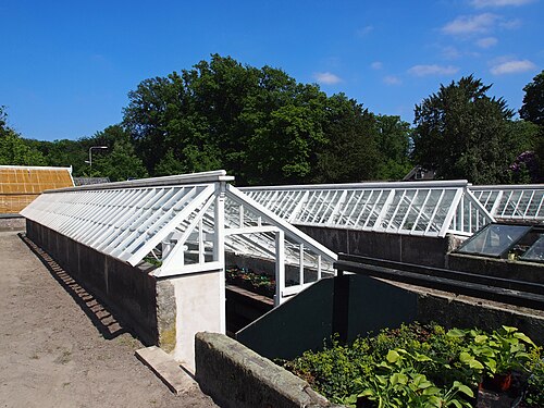 Gewächshäuser des ummauerten Küchengartens von Schloss Twickel (Ironhouse, Nelkenhaus, Treibgruben), Ambt Delden (Hof van Twente), Overijssel — photo 3