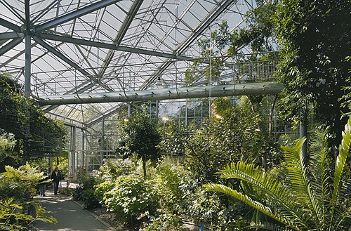 Drieklimatenkas (Dreiklimatengewächshaus), Hortus Botanicus Amsterdam, Amsterdam, Nordholland — This is an image of rijksmonumentcomplex number