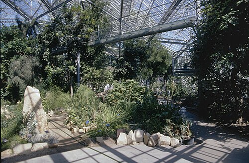 Drieklimatenkas (Dreiklimatengewächshaus), Hortus Botanicus Amsterdam, Amsterdam, Nordholland — Drieklimatenkas — Ansicht 4