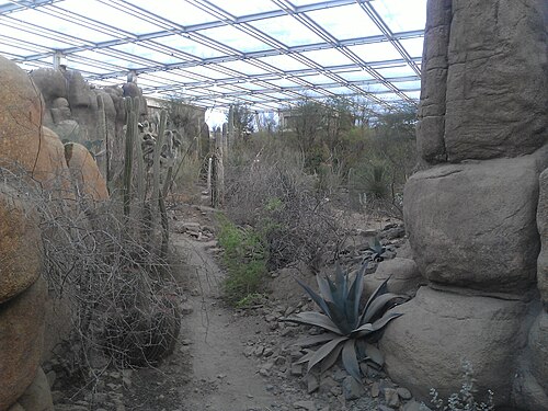 Burgers' Desert (Royal Burgers' Zoo), Arnheim, Gelderland — Burgers' Desert — Ansicht 2