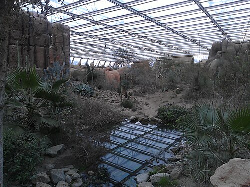 Burgers' Desert (Royal Burgers' Zoo), Arnheim, Gelderland — Burgers' Desert — Ansicht 3