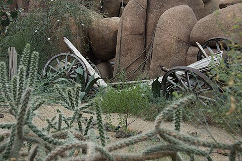 Burgers' Desert (Royal Burgers' Zoo), Arnheim, Gelderland — Overzicht van Burgers' Desert