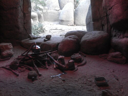 Burgers' Desert (Royal Burgers' Zoo), Arnhem, Gelderland — De burgers' zoo in Arnhem met penguins giraffes en andere dieren.