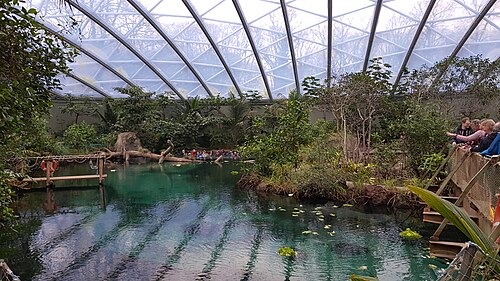 Burgers' Mangrove (Royal Burgers' Zoo), Arnheim, Gelderland — Burgers' Zoo Mangrove, Arnhem, Nederland