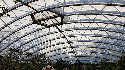 Burgers' Mangrove (Royal Burgers' Zoo), Arnheim, Gelderland — Burgers' Mangrove — Ansicht 3