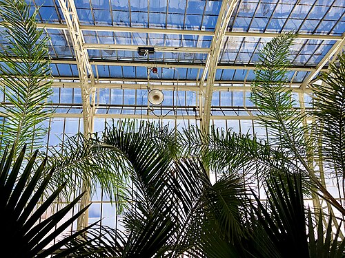 Biltmore Estate Conservatory, Asheville, North Carolina — Biltmore Estate Conservatory — Ansicht 4