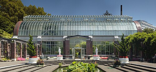 オークランド・ドメイン・ウィンターガーデン, オークランドのオークランド・ドメイン — 5-piece panorama of the Hot House of the Winter Garden in Auckland Domain