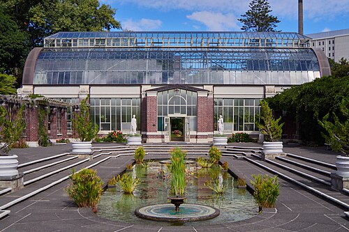 オークランド・ドメイン・ウィンターガーデン, オークランドのオークランド・ドメイン — The sunken courtyard pond and glasshouse at the Auckland Domain Wintergardens.
