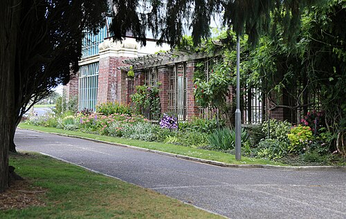 オークランド・ドメイン・ウィンターガーデン, オークランドのオークランド・ドメイン — Auckland Domain Wintergardens