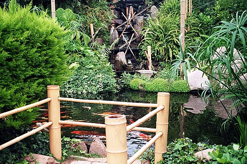Garten der Schmetterlinge, Friedrichsruh, Friedrichsruh (Aumühle), Schleswig-Holstein — Friedrichsruh, butterfly garden, insinde the tropical house