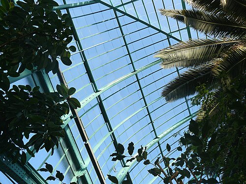 オートゥイユ温室庭園, パリ — Serres d'Auteuil, Paris