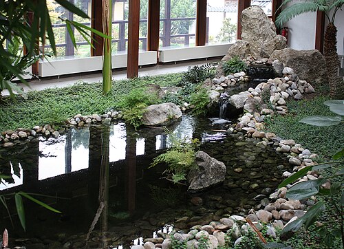Pflanzenpavillon des Japanischen Gartens „Kōfuku no niwa“, Bad Langensalza, Bad Langensalza, Thüringen — Bad Langensalza, Japanese garden, plant pavilion