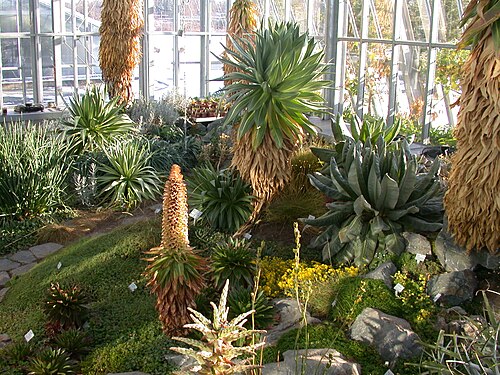 Gewächshäuser des Ökologisch-Botanischen Gartens (ÖBG) der Universität Bayreuth, Bayreuth, Bayern — Hochgebirgsgewächshaus im Ökologisch-Botanischen Garten Bayreuth