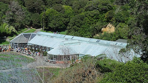 Lady Norwood Begonia House, Wellington Botanic Garden, Wellington — Begonia House in Wellington Botanic Garden