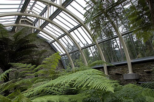 Benmore Fernery, Benmore bei Dunoon (Argyll), Schottland — Interior of Benmore Fernery
