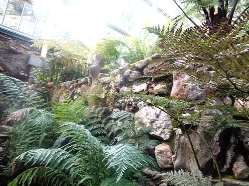 Benmore Fernery, Benmore bei Dunoon (Argyll), Schottland — The Benmore Fernery and fern walls, Dunoon, Argyll.