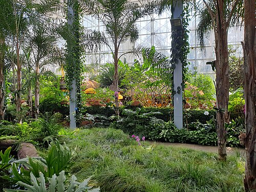 Tropenhalle des Balinesischen Gartens, Gärten der Welt, Berlin-Marzahn, Berlin — Balinese Garden, Gardens of the World in Berlin Marzahn