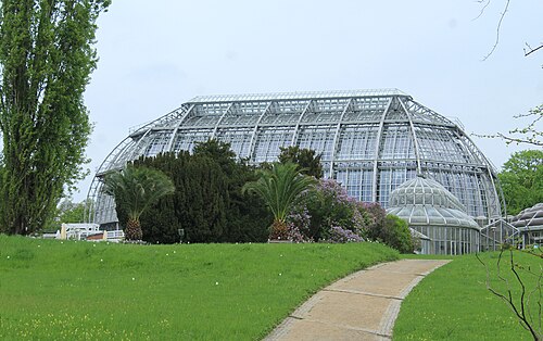 Großes Tropenhaus, Botanischer Garten Berlin-Dahlem — Berlin-Dahlem, botanical garden, the big greenhouse