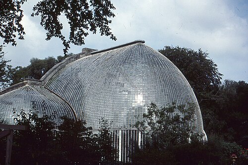 Palm House de Bicton Park, Bicton, Devon — The Palm House, Bicton Park