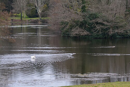 Palm House de Bicton Park, Bicton, Devon — East Devon : Bicton College - The Lake