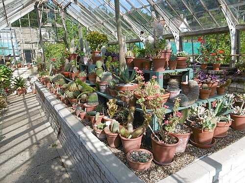 Viktorianische Glashäuser im ummauerten Garten, Quex Gardens, Quex House and Gardens, Birchington-on-Sea (Kent), England — The cactus house in the Victorian Walled Garden at Quex Park
