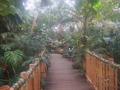 Bloedel Conservatory, Vancouver, Britisch-Kolumbien — The Bloedel Conservatory