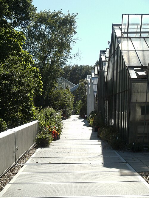 Tropenhaus und Schaugewächshäuser, Botanischer Garten der Ruhr-Universität Bochum, Bochum, Nordrhein-Westfalen — Greenhouses in the Bochum botanical garden.