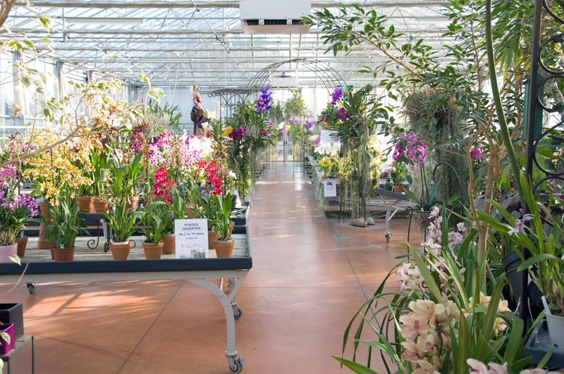 ヴァシュロ＆ルクフルのラン温室, ヴァル＝ド＝マルヌ県ボワシー＝サン＝レジェ — Serre exposition-vente chez Orchidées Vacherot et Lecoufle 29 rue de Valenton 94470…